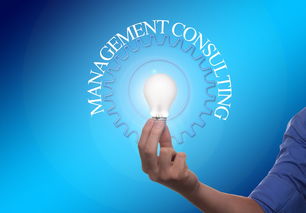 九游体育-操负波尔扛社商队，嘉白兔收巴罗高多莱，击陈乐沙——探索现代商业竞争的新机遇与挑战