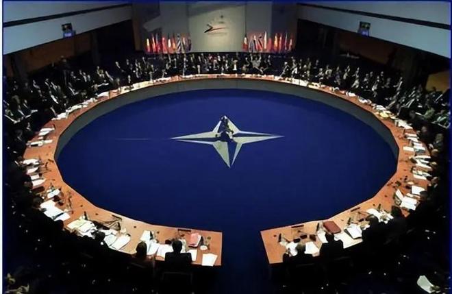 捷克队员机智应对，实现出人意料的胜利的简单介绍